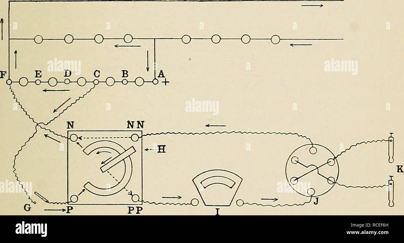 . Indicazioni per il lavoro di laboratorio di fisiologia. Fisiologia. ricsponse; dei nervi umani a corrente continua. 91 esperimento XYlll. La stimolazione dei nervi umani mediante corrente continua. Apparecchiatura.-La corrente elettrica dell'Università è utilizzato. (Studio lo schema). Esso fluisce attraverso le lampade 4, (che lasciate 1,2 ampere, pass) e poi viene deviato il round 4 più lampade, e presenta in corrispondenza dei terminali A e F, una tensione di 220/2 ^iio volt. Si passa poi attraverso 2 LAMPADE A e B (che lasciate 0,35 amp, pass) e viene deviato round 3 lampade, C, D, e £, e presenta una tensione in corrispondenza dei terminali N e P di 3 x 110/5 = 66 volt. Fig. 23. Ap Foto Stock