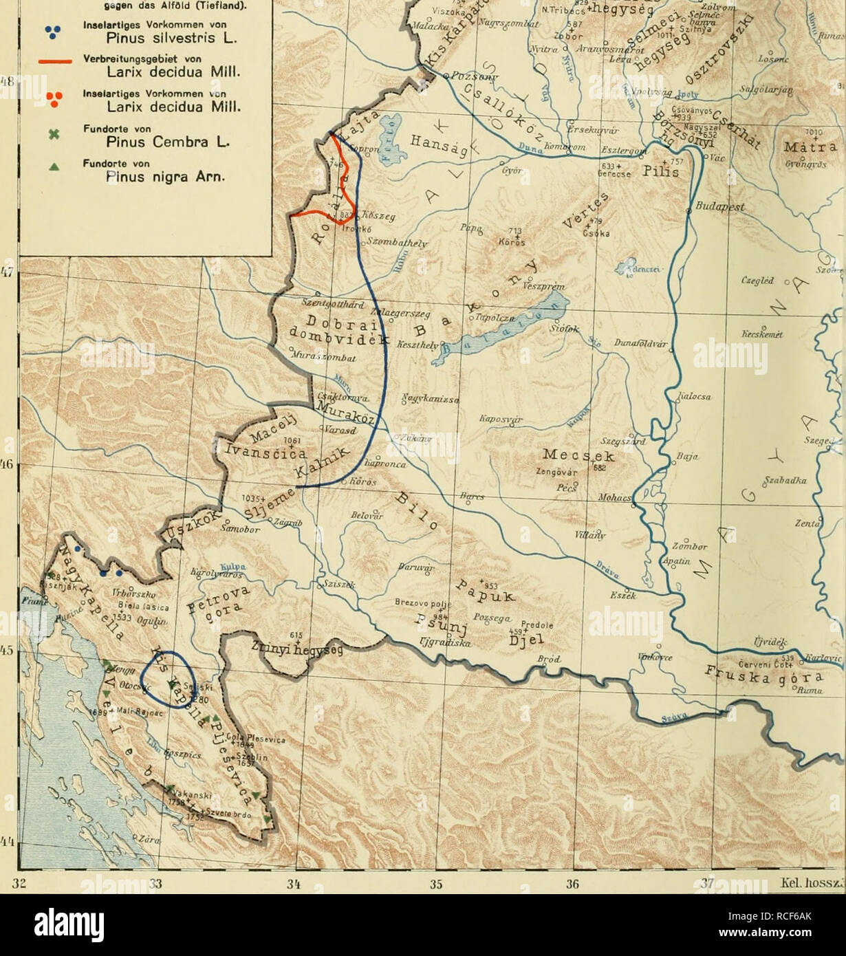 . Die Verbreitung der forstlich wichtigen Bäume und Sträucher um ungarischen Staate. Piante legnose. Fekete-Blattny: Die Verbreitung der forstlich wichtigen Bäume und Sträucher im Staate ungarischen. 36 37 der Verbreitung Weissföhre, Lärche, Arve und Schwarzkiefer im Staate ungarischen, r-^ Verbreitungsgrenze von PInus silvsstris L. gegen des AtfOld (Tiefland). Inaelartiges Vorkommen von Pinus slivestris L. Verbreitungsgebiet von Larix decidua Mill. Iftselartiges Vorkommen von Larix decidua Mill. Arjgyss ;^ 4&GT; työmbéf - - Otj """"Wert 5^ r .4- . ^j-Xdaras^-  a. Si prega di notare che il TS Foto Stock
