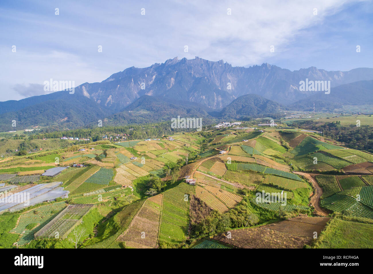 Vista aerea di Kundasang Sabah paesaggio con cavolo farm e il Monte Kinabalu a sfondo lontano durante la mattina. Foto Stock