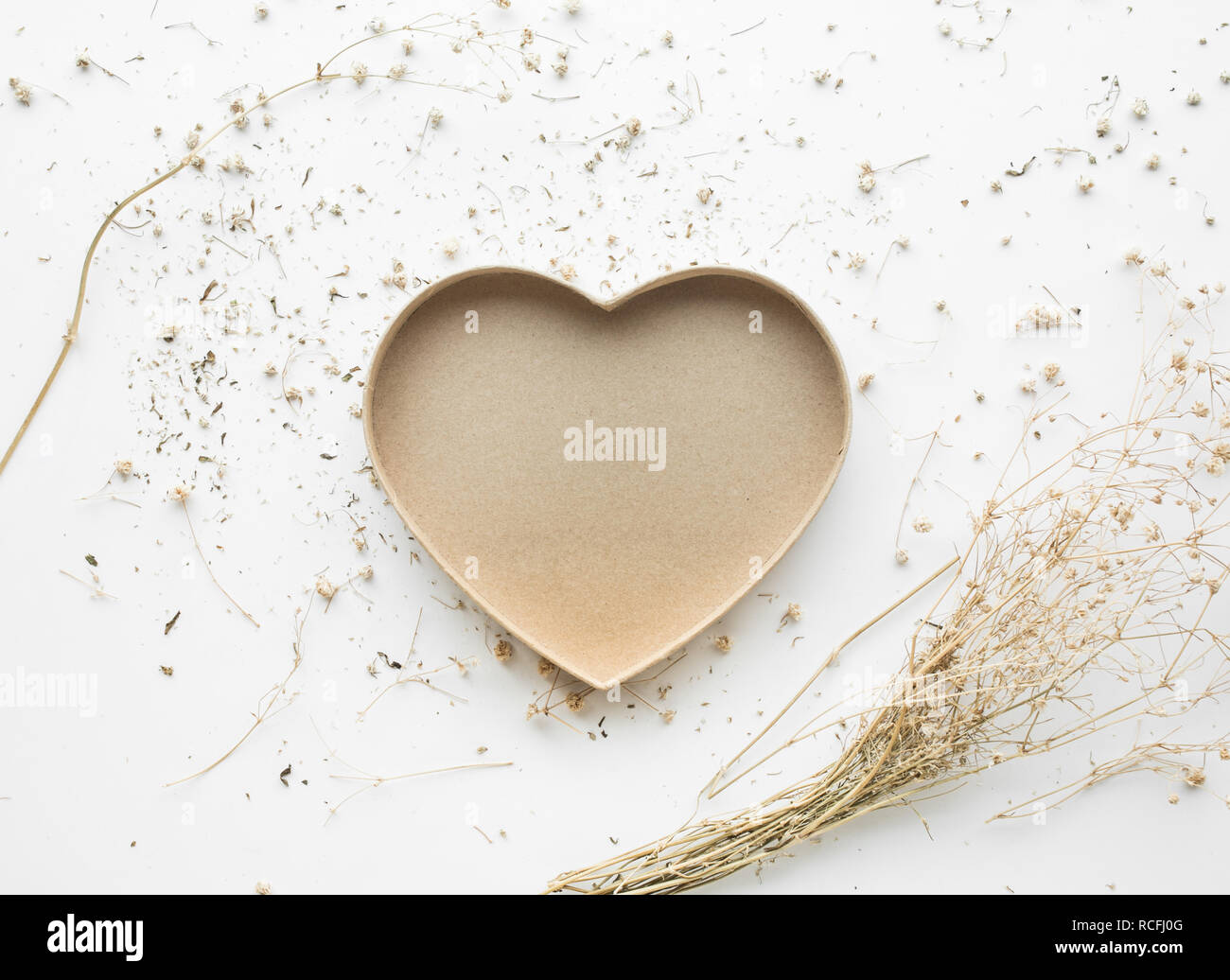 Forma di cuore con il ramo secco fiore e su sfondo bianco.spazio copia Foto Stock