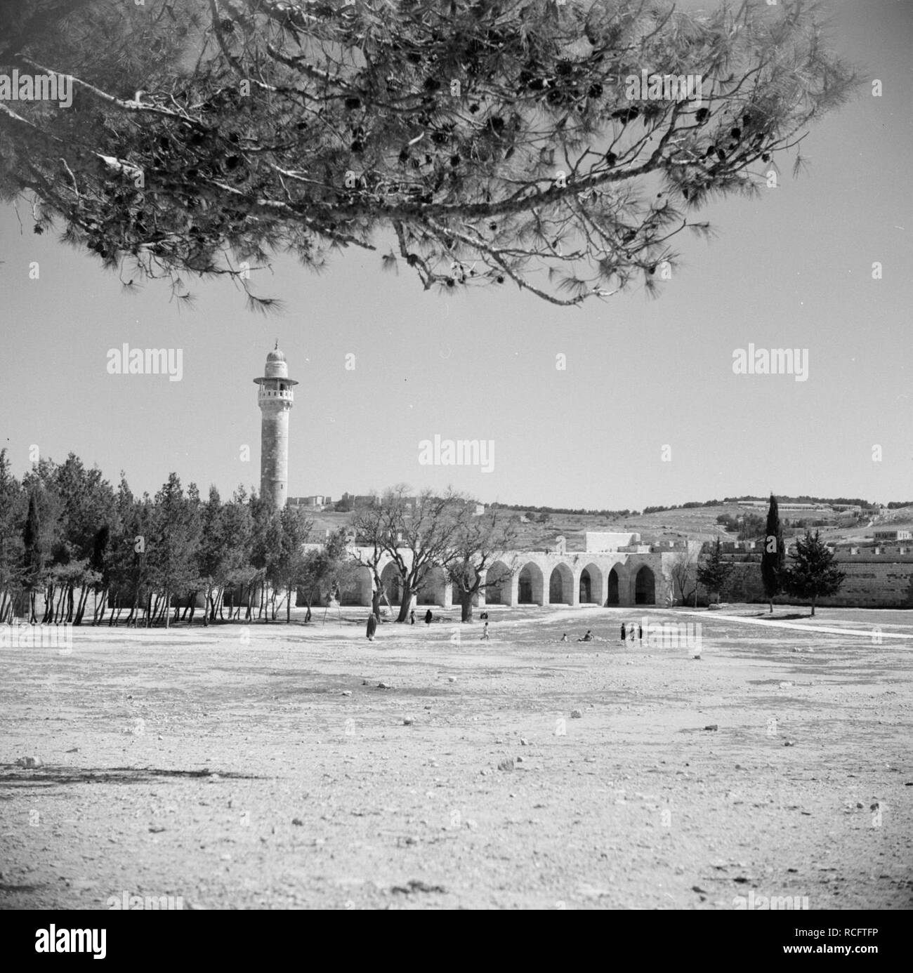 Al Haram esh-Sharif - Tempelberg, Bestanddeelnr 255-5419. Foto Stock