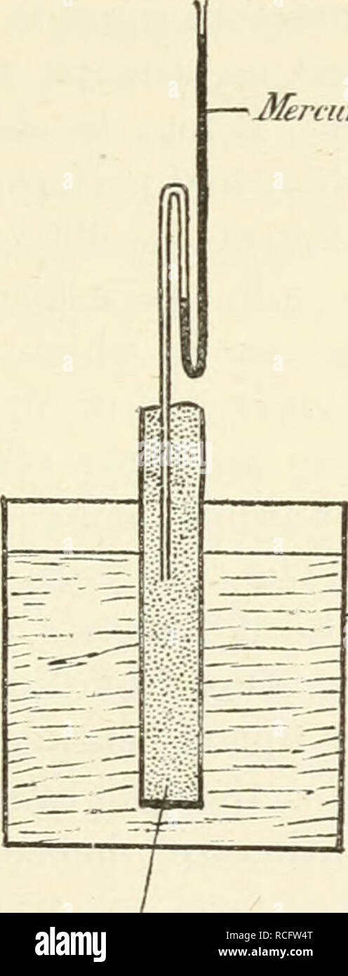 . Elementi di fisiologia umana. Fisiologia. FUNCTIOxNS dei reni e la pelle 465 quindi necessario, al fine di misurare la pressione osmotica di una soluzione, per racchiudere in qualche nave le cui pareti consentirà solo il passaggio di acqua e non permetterà il sale di passare fuori o mediante diU'usione o per filtrazione. Un tale contenitore può essere realizzata mediante lavaggio fuori una cella poroso, prima con rame sul- phate e poi con ferrocianuro di potassio. Un precipitato insolubile di ferrocianuro di rame si deposita nei pori delle terrecotte, e si è trovato che questi ora consentire solo all'acqua di passare attraverso, e ar Foto Stock