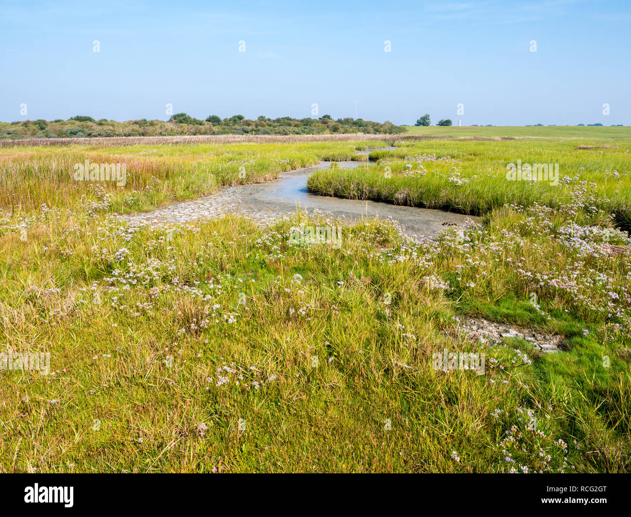 Panorama di barene e le piane di marea a bassa marea del mare di Wadden sulla West Frisone isola Schiermonnikoog, Paesi Bassi Foto Stock