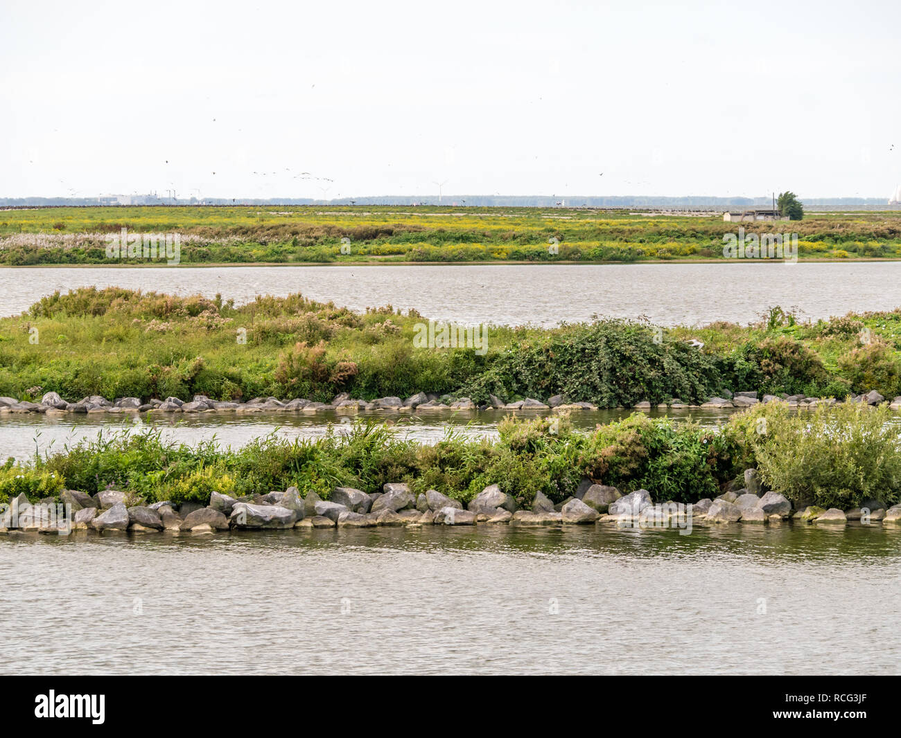 Panorama di acqua e natura sull'isola artificiale De Kreupel nel lago IJsselmeer, Noord-Holland, Paesi Bassi Foto Stock