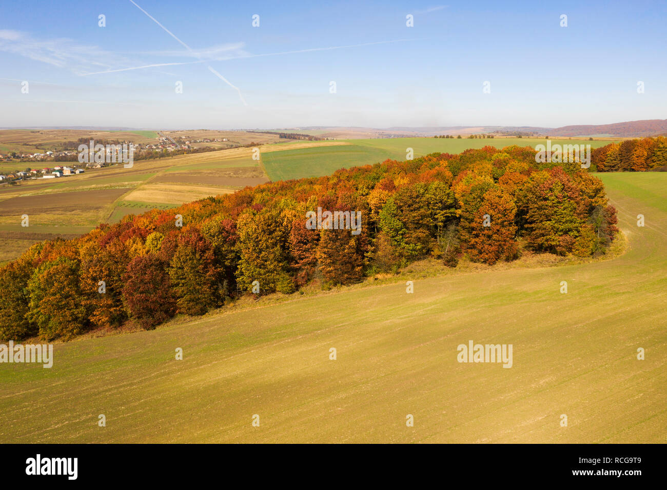 Una coloratissima isola di autunno alberi, Ivano-Frankivsk, Oblast di Ucraina Foto Stock