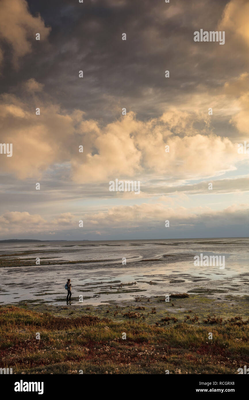 I Paesi Bassi, Vlieland, il Wadden Sea, Sito Patrimonio Mondiale dell'Unesco. La bassa marea. Gli escursionisti a piedi nei velme. Foto Stock