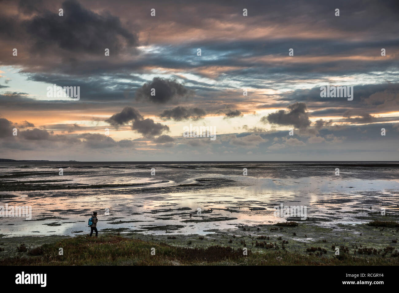 La bassa marea. Gli escursionisti a piedi nei velme, il Wadden Sea. Unesco - Sito Patrimonio dell'umanità. Vlieland. I Paesi Bassi. Foto Stock