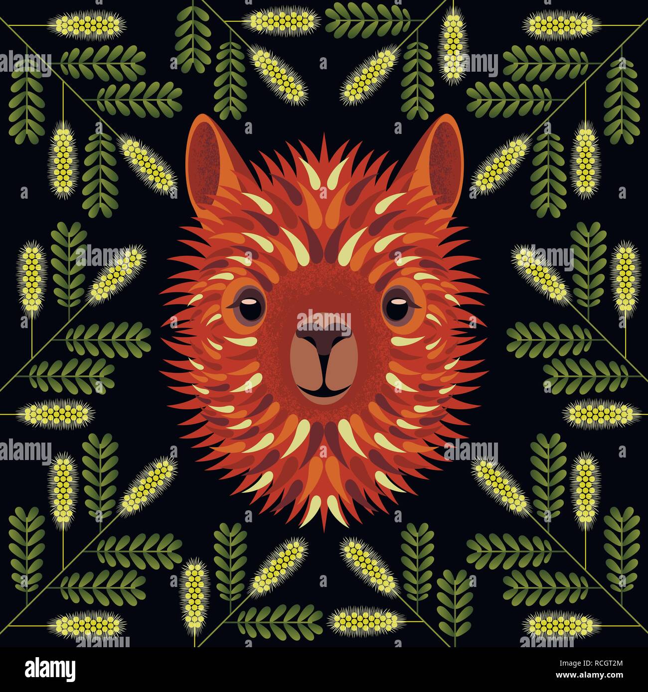 Alpaca viso, testa, ritratto. Nella cornice dei rami di miele Mesquite. Stile geometrico. Per i produttori e venditori di lana, filati, tessuti, vuoto Illustrazione Vettoriale