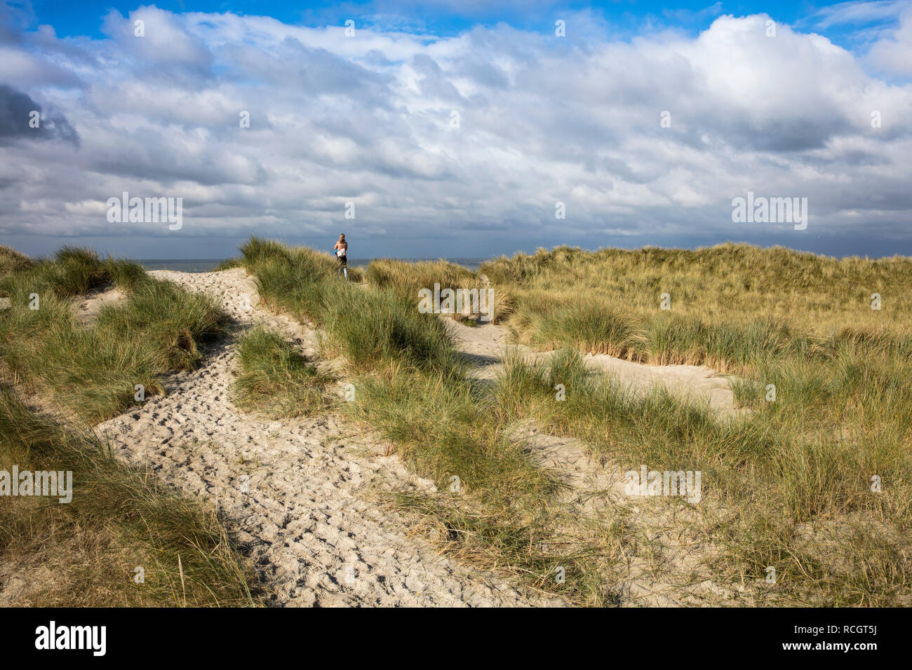 Donna affacciato sulla spiaggia del Mare del Nord da dune ricoperte con spiaggia in erba. Vlieland. I Paesi Bassi. Foto Stock