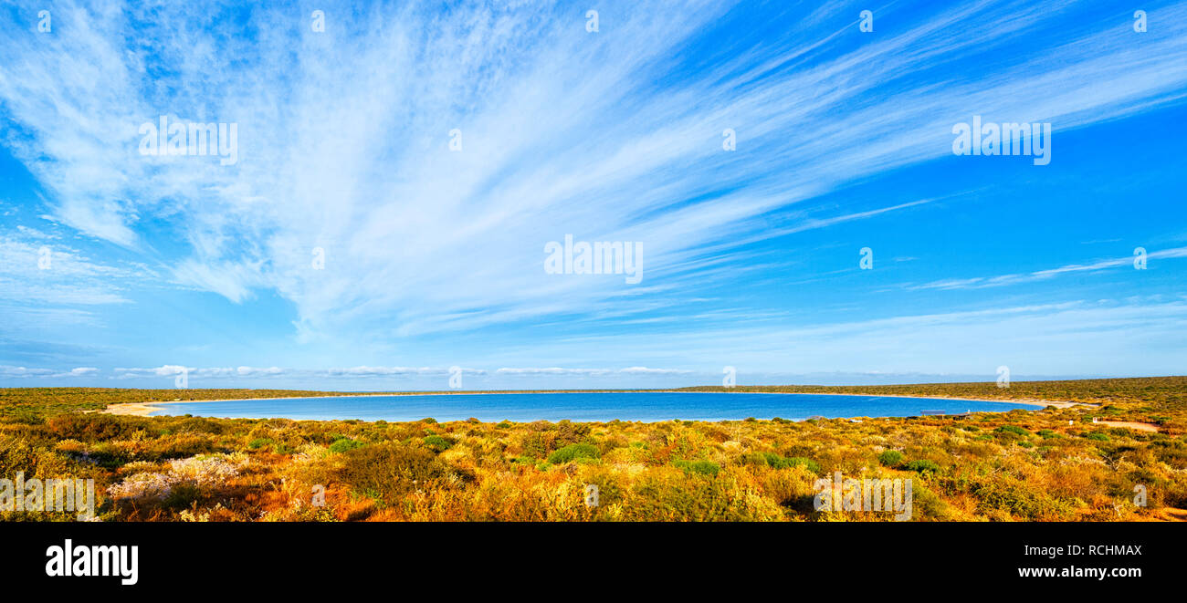 Shark Bay, Australia occidentale. Laguna poco in un pomeriggio soleggiato Foto Stock