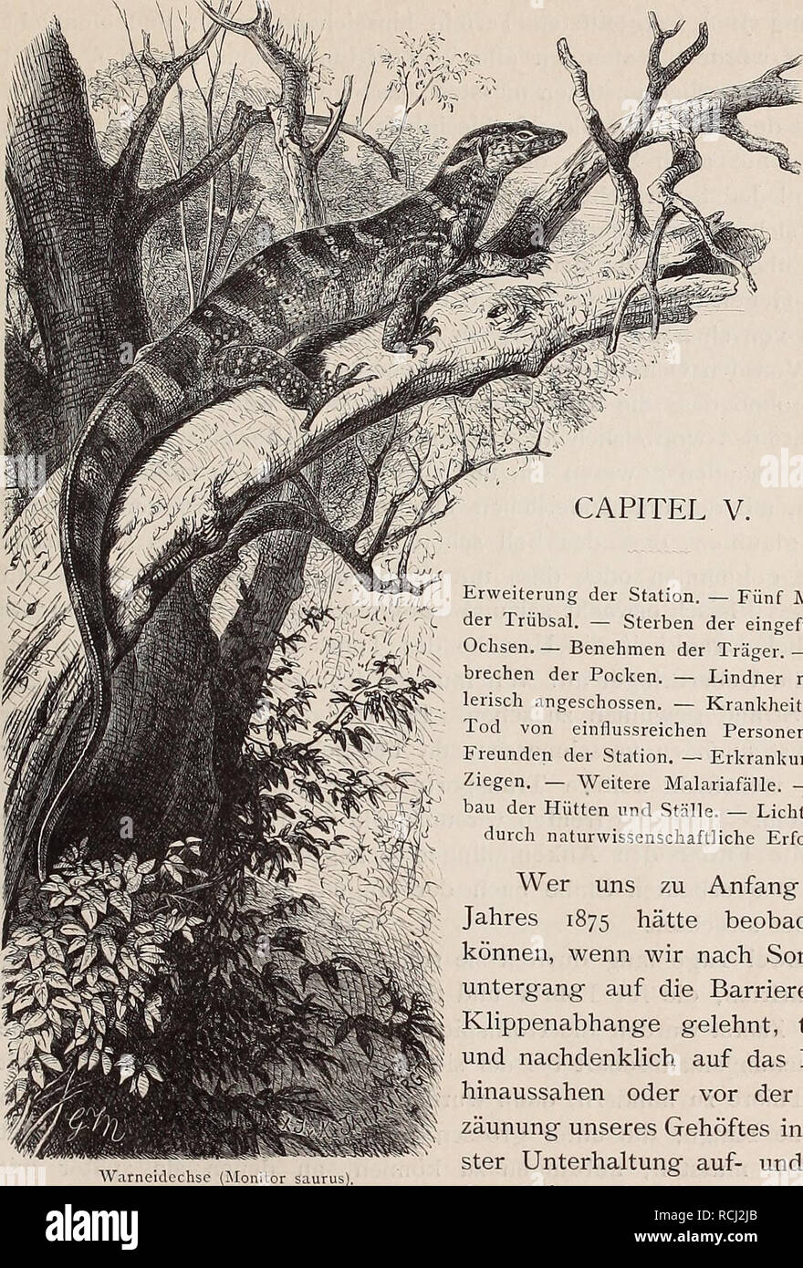 . Die Loango-Expedition ausgesandt von der Deutschen Gesellschaft zur Erforschung Aequatorial-Africas, 1873-1876. Ein Reisewerk in drei Abtheilungen. Deutschen Gesellschaft zur Erforschung Aequatorial-Africas; spedizioni scientifiche; Vili (popolo africano). CAPITEL V.. Erweiterung der stazione. - Fünf Monate der Trübsal. - Sterben der eingeführten Ochsen. - Benehmen der Träger. - Aus- brechen der Pocken. - Lindner meuch- lerisch angeschossen. - Krankheiten. - Tod einflussreichen von Personen und Freunden der stazione. - Erkrankung der Ziegen. - Weitere Malariafalle. - Um- bau der Hütten und Ställ Foto Stock