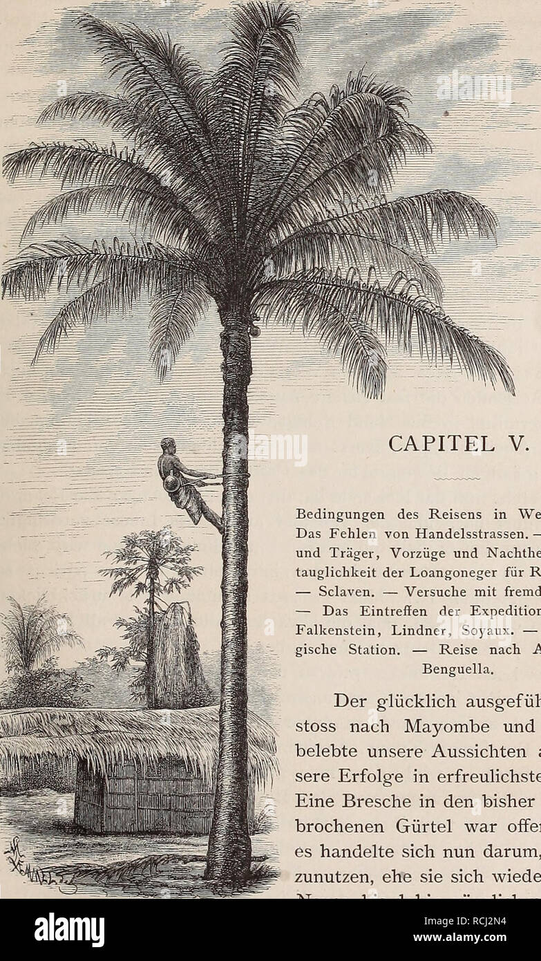 . Die Loango-Expedition ausgesandt von der Deutschen Gesellschaft zur Erforschung Aequatorial-Africas, 1873-1876. Ein Reisewerk in drei Abtheilungen. Deutschen Gesellschaft zur Erforschung Aequatorial-Africas; spedizioni scientifiche; Vili (popolo africano). Bedingungen des Reisens in Westafrica. - Das Fehlen von Handelsstrassen. - Lastthiere und Träger, Vorzüge und Nachtheile. - Onu- tauglichkeit der Loangoneger für Reisezwecke. - Sclaven. - Versuche mit fremden Negern. - Das Eintreffen der Expeditionsmitglieder Falkenstein, Lindner, Soyaux. - Meteorolo- gische stazione. - Reise nach Angola und B Foto Stock