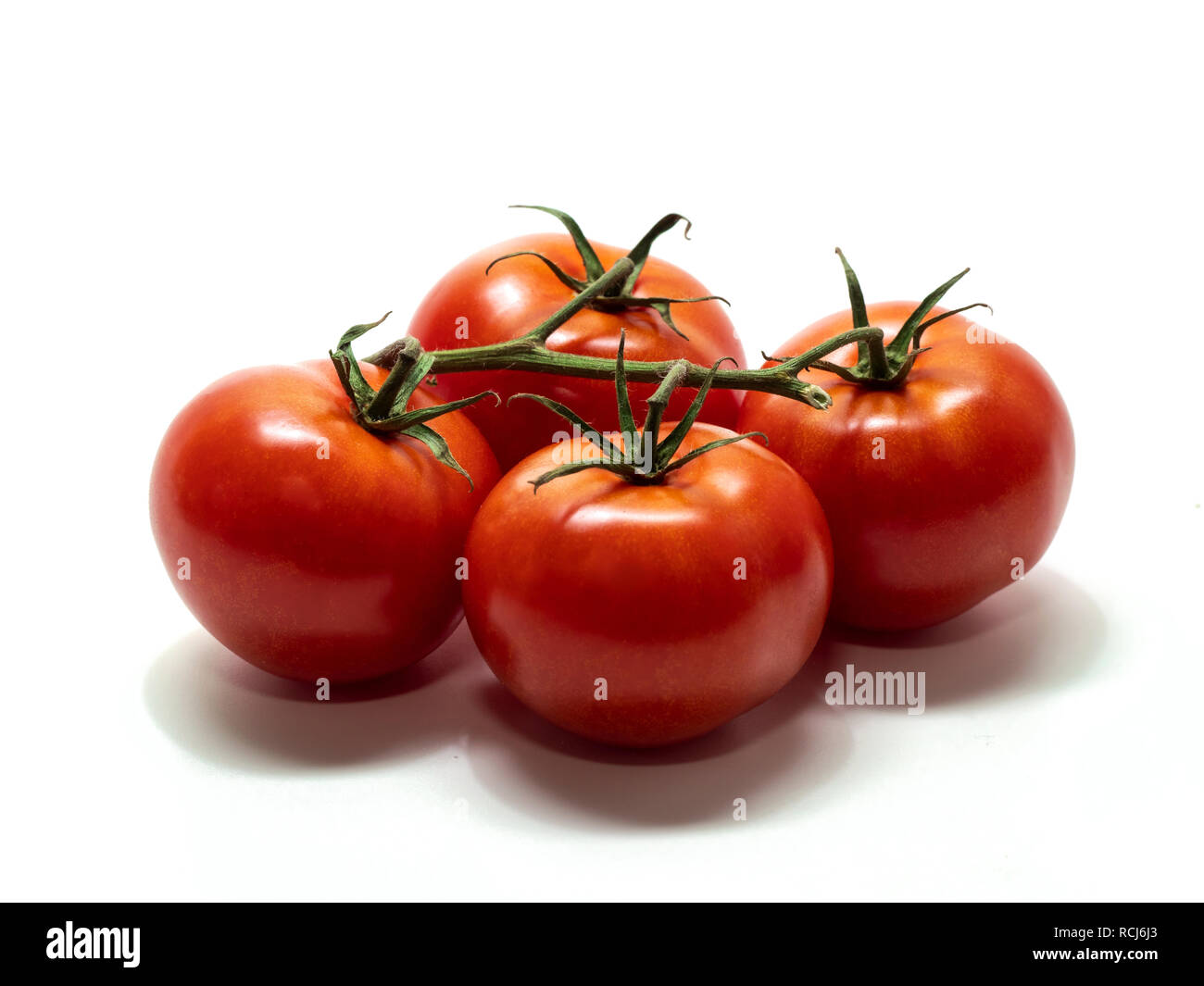 Pomodori Pomodori arbusto con steli, grande, sfondo bianco Foto Stock