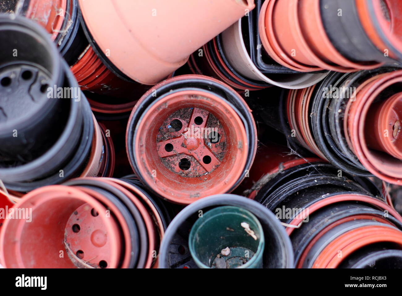 Nero e rosso in plastica vasi di piante in un giardino del Regno Unito. Libera in plastica concetto di giardinaggio Foto Stock