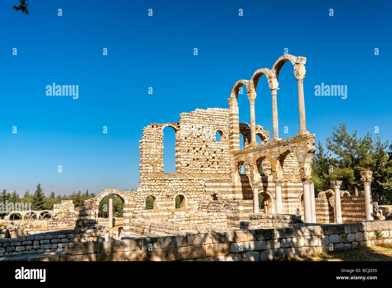Rovine della cittadella di Umayyad a Anjar. La Valle di Beqaa, Libano Foto Stock