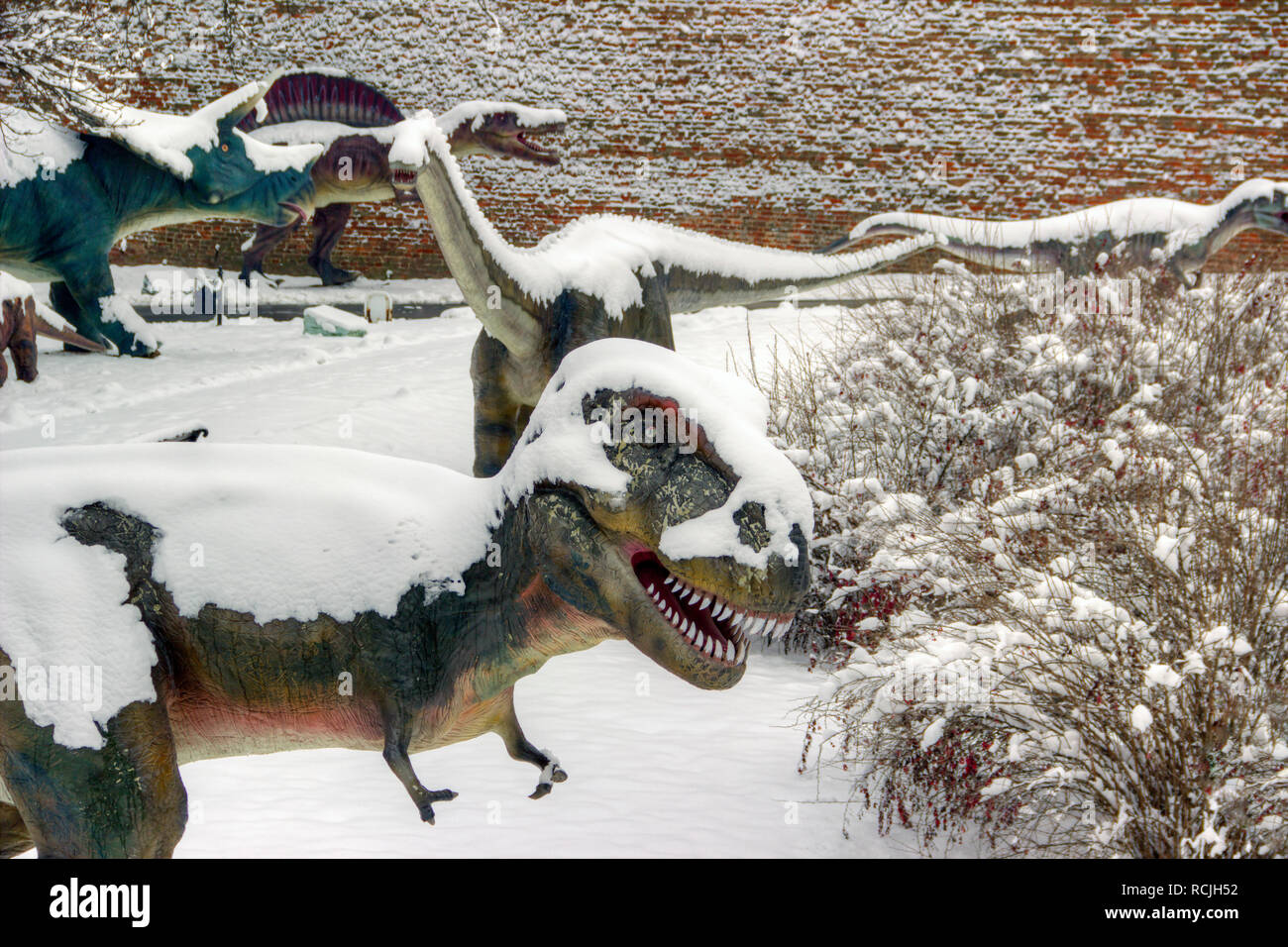 Belgrado, Serbia, Gennaio 2019 - coperta di neve la vita dimensioni modelli di dinosauri in Kalemegdan Dino park Foto Stock