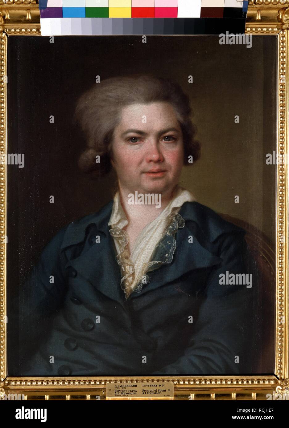 Ritratto del tesoriere Conte Artemi Vorontsov. Museo: State Russian Museum di San Pietroburgo. Autore: Levitsky, Dmitri Grigorievich. Foto Stock