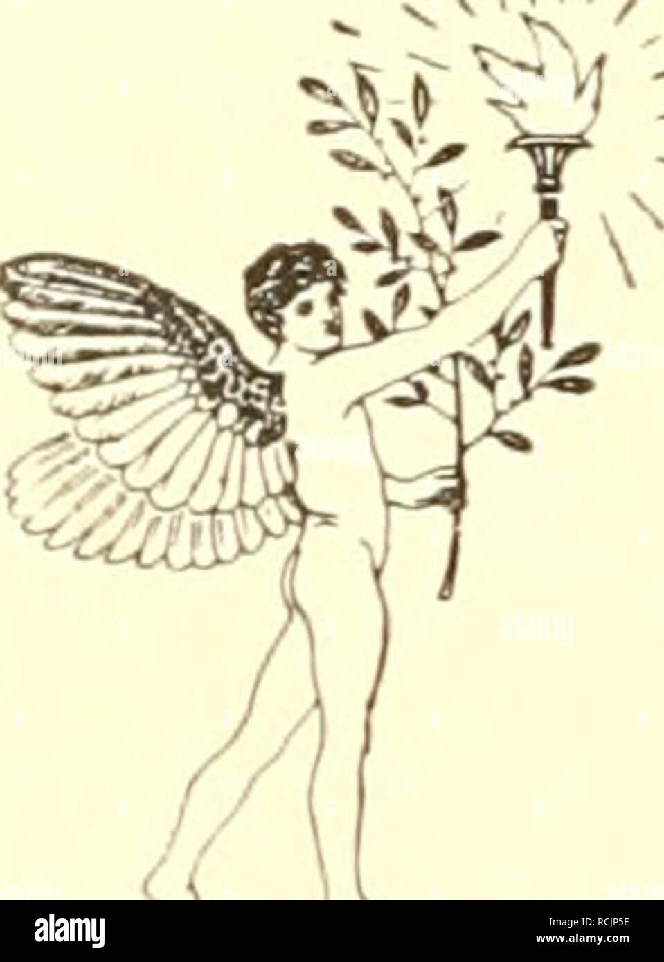 . Die insekten Mitteleuropas insbesondere Deutschlands. Insetti -- Germania; imenotteri. Qu ^M^ Die Insekten Mitteleuropas insbesondere Deutschlands Bearbeitet (in den ersten 8 BÀ¤nden) von Dr. G. Aulmann (Berlino), il dottor C. BÀ¶rner (St. Julien-Metz), il Dott. E. Enslin FÃ¼rth (i. B.&GT;, il dott. H. Friese (Schwerin i. M.), Dott. K. GrÃ¼nberg (Berlino), H. Haupt (Halle a. S.), prof. Il dott. J. J. Kieffer (Bitsch i. Lothr.), Dr. L. Lindinger (Amburgo), prof. Il dott. O. Schmiedeknecht (Blankenburg i. ThÃ¼R.), H. Schumacher (Berlino), il Dott. P. Speiser (Labes, Westpr.), H. Stitz (Berlino), il Dott. E. Strand (Berlino), Dr. G. Ulm Foto Stock