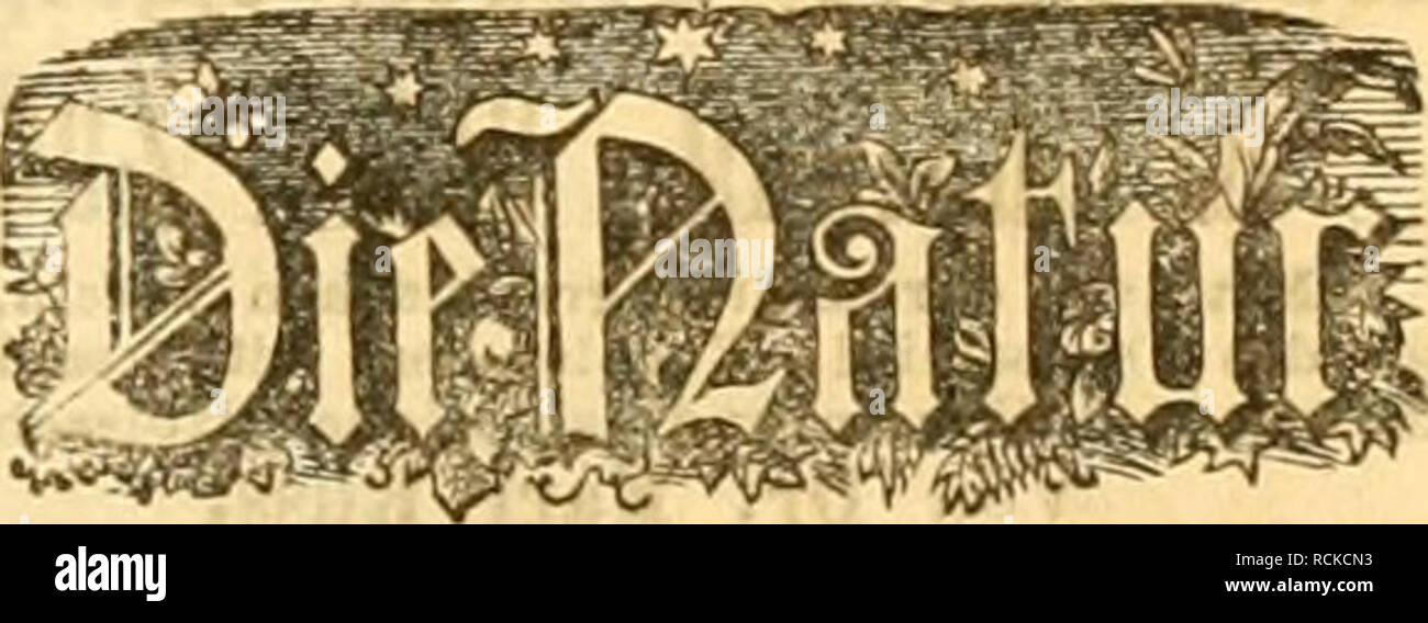 . Die Gefiederte Welt. Gli uccelli. 3LV. 49. ©ie gefieberte SBelt. 3eitf(^rift für SBogeriteB^aBer, =3üd^ter unb =.g&GT;änbter. 529 Bei uns erschien: Handbuch für Insekten-Sammler von Alexander divieto. Der Schmetterlings-Sanimler. Bd. I. Preis: broch. 5 Mk., geb. 6 Mk. Bd. n. Der Käfer-Sammler. Preis: broch. (5 Mk., geb. 7 Mk. Das Anlegen von Käfer- M Sclimetterlings- Samnilnugen vuu C 'Wingelmüller. Preis: broch. 1 Mk. 50 Pfg., geb. 2 Mk. 25 Pfg. Crentz'sche Verlagsbuchhandlg. in Magdeburg. Ho 1891er getrofknetc Imeirciteier, gcficfit u. fonbfrci, Äilo 2,"oJi, 5 ftiro mit ©atto B Ji gegen iKac^ua^me, e Foto Stock