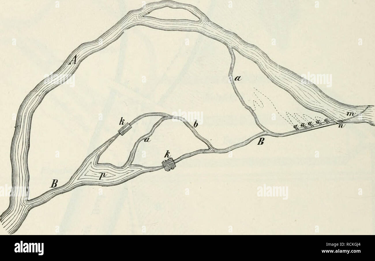 . Die Forstbenutzung. 9. verm. Aufl. bearb. unter Mitwirkung von Heinrich Mayr. Ingegneria forestale; le foreste e la silvicoltura. 360 I. 2:eil. III. 3lbf(i)nitt. 2)Cr |)Dtjtran§porta. Slriftboc^ UN' fü^rt ba'i artft^otä 3Unfif)en ben foüben llfcrmauern aa unb bem lang enthjtcfciten ?[btüeiöred)en mm burd) ben Irifttanal dd in ben -^lolägurten z, wo bie 3lnt3Qinung bc§ ^oljee bei 31 in t)Dl)er '3luf|d)id)tung ftattfinbct. Iriff STaö^olä toirb foI)in au(^ b^'r P""!^ SBafiet in bo" |)Dläfelb transportiert. Saö 3(bttafjer flicht bei w in ben Üriftbari) gnrüd. aOßie uomo bei allen burd) |)od)tt'aifer ! Foto Stock