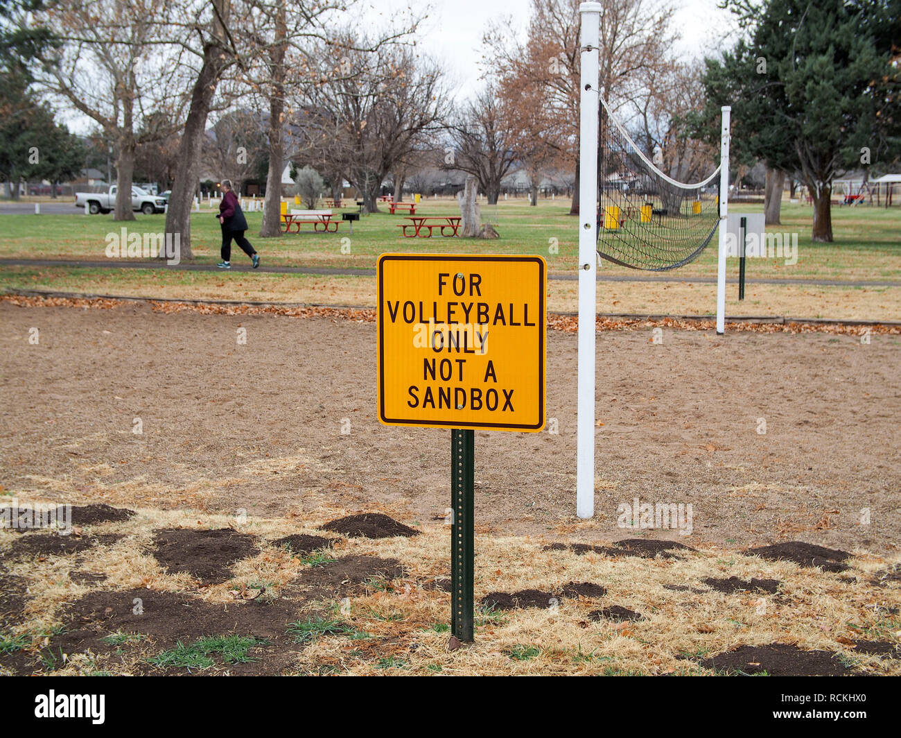 OLYMPUS FOTOCAMERA DIGITALE Foto Stock