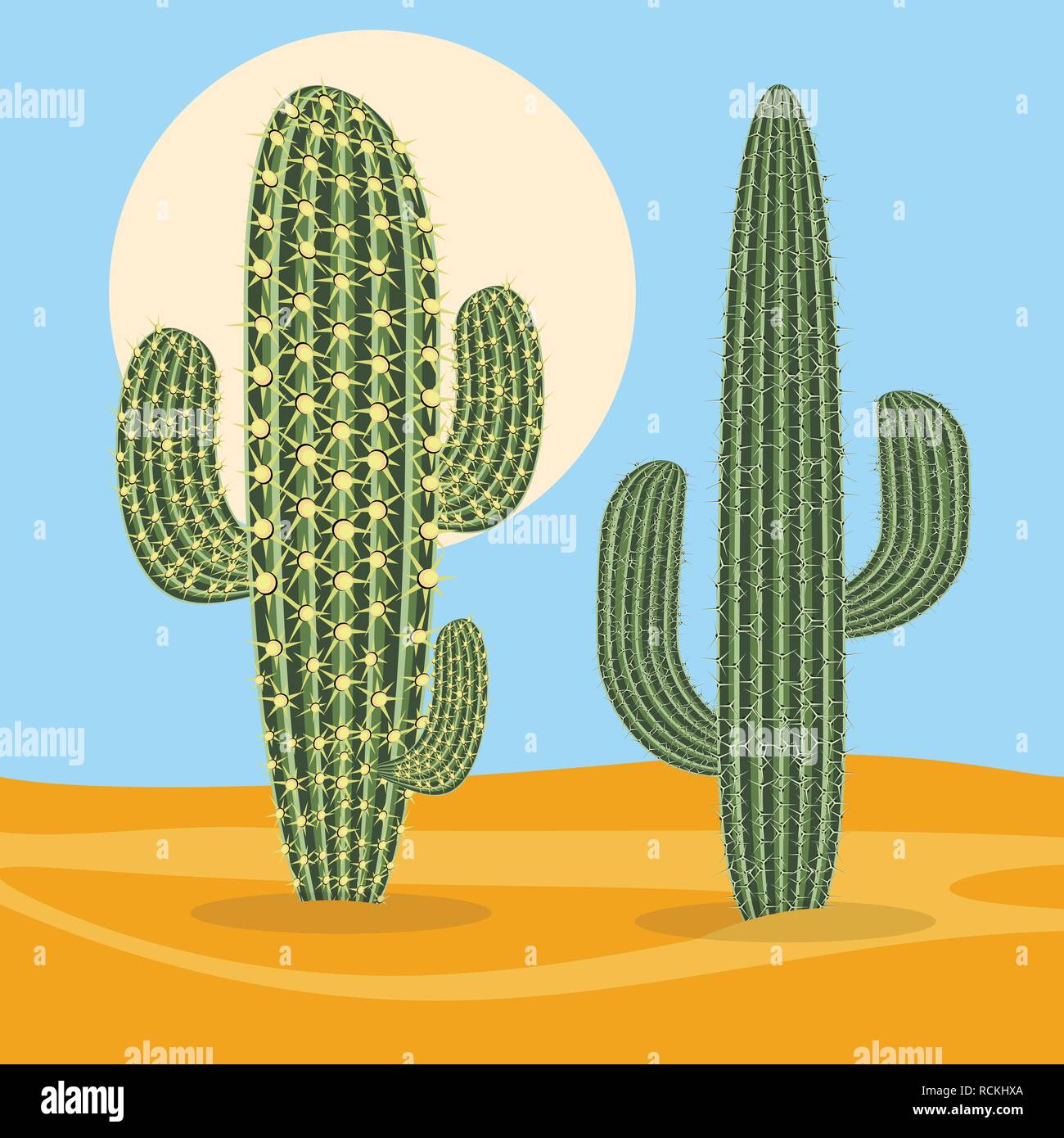Diversi tipi di piante del deserto natura cactus. Illustrazione Vettoriale. Illustrazione Vettoriale