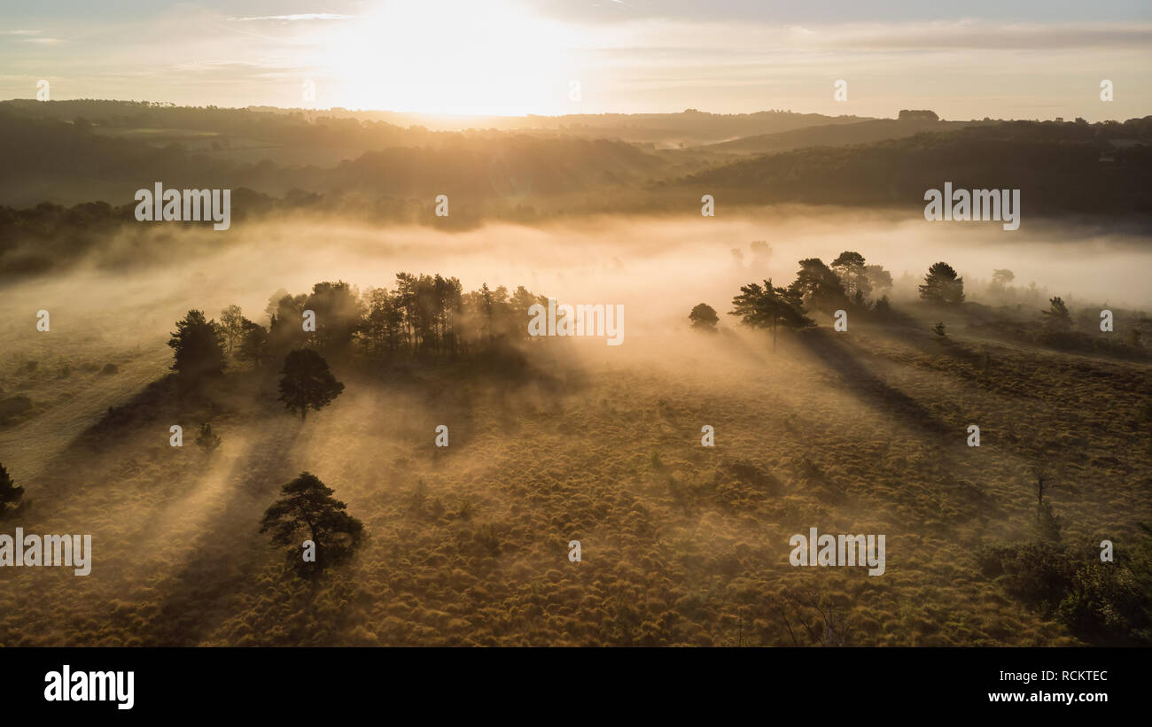 Bellissima alba immagine orizzontale di fuco vista aerea di autunno cadono scena della foresta Foto Stock
