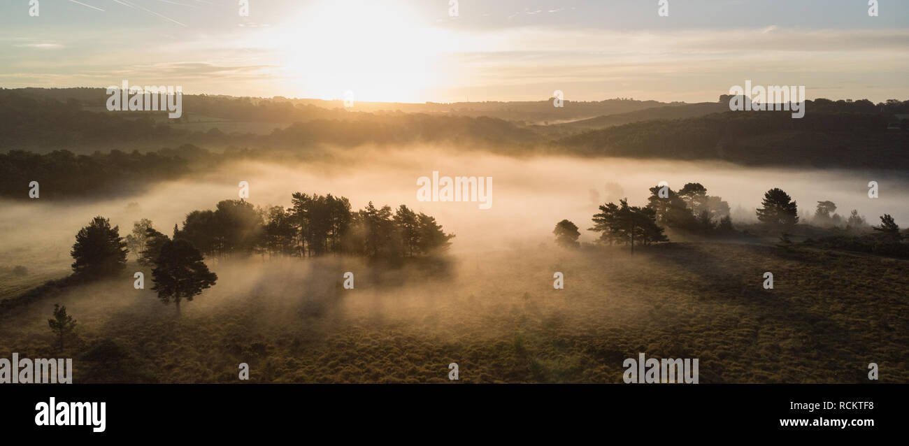 Bellissima alba immagine orizzontale di fuco vista aerea di autunno cadono scena della foresta Foto Stock