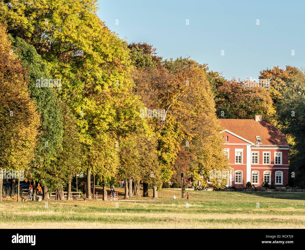 Il fogliame di autunno e colorati di autunno alberi sul prato 'Dammaschwiesen', Celle, Germania Foto Stock