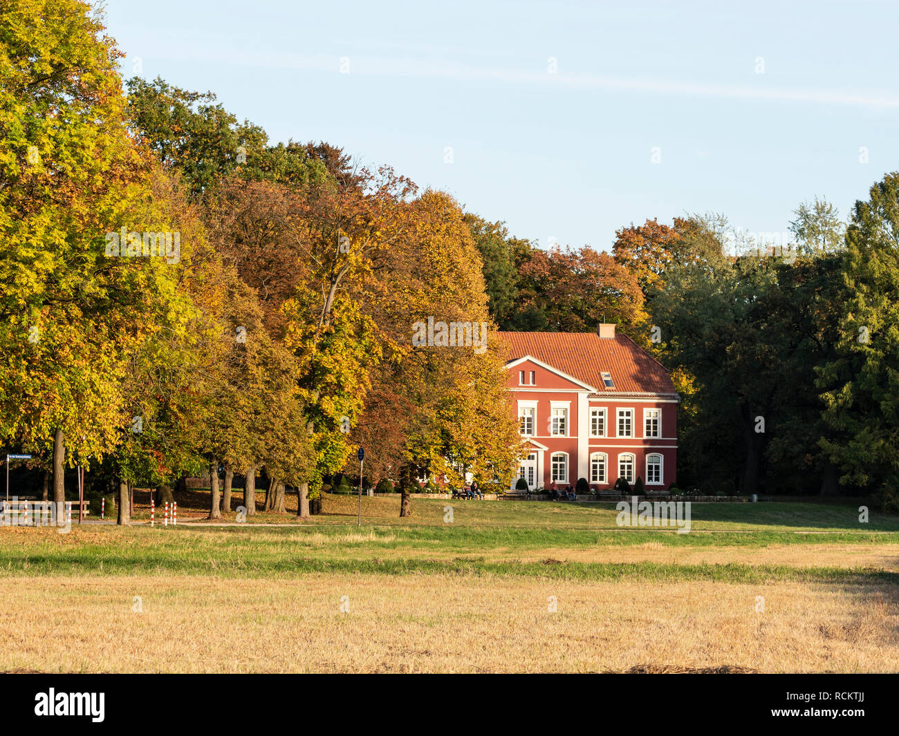 Il fogliame di autunno e colorati di autunno alberi sul prato 'Dammaschwiesen', Celle, Germania Foto Stock