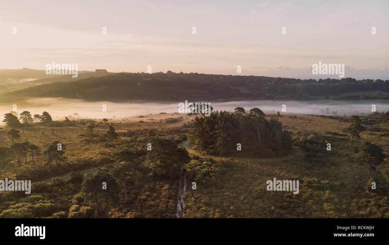 Bellissima alba immagine orizzontale di fuco vista aerea di autunno cadono scena della foresta Foto Stock