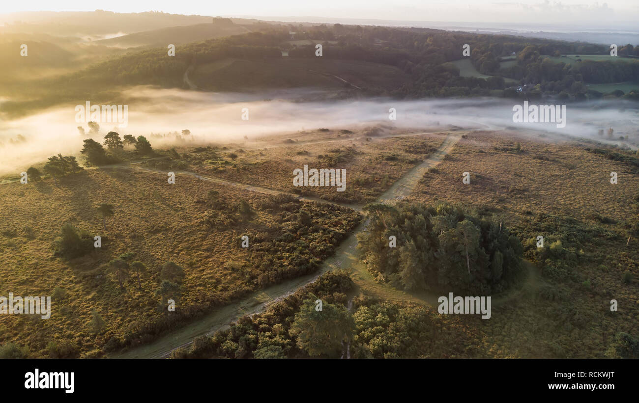 Bellissima alba immagine orizzontale di fuco vista aerea di autunno cadono scena della foresta Foto Stock