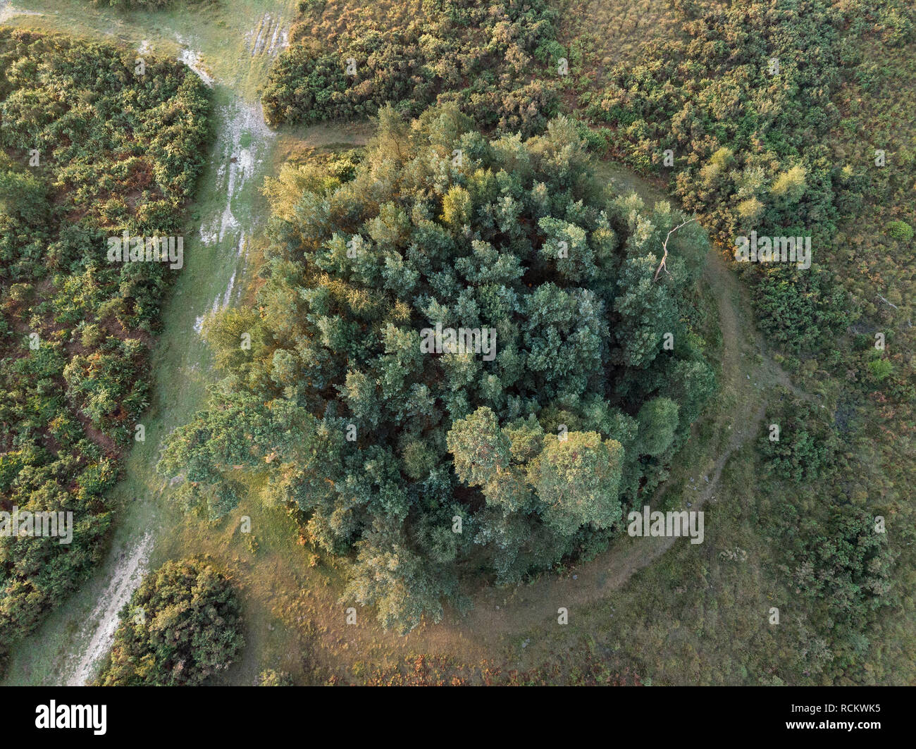 Bellissima alba immagine orizzontale di fuco vista aerea di autunno cadono scena della foresta Foto Stock