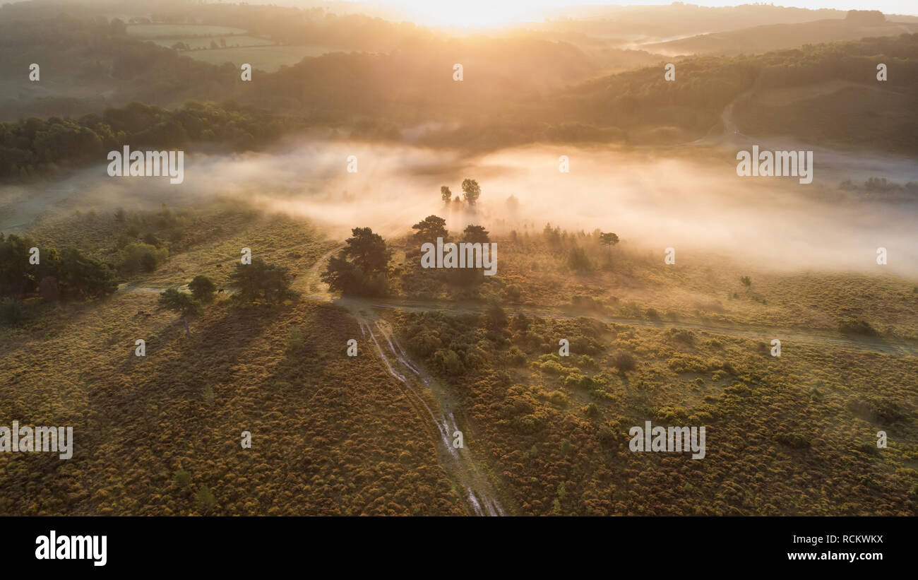 Bellissima alba immagine orizzontale di fuco vista aerea di autunno cadono scena della foresta Foto Stock
