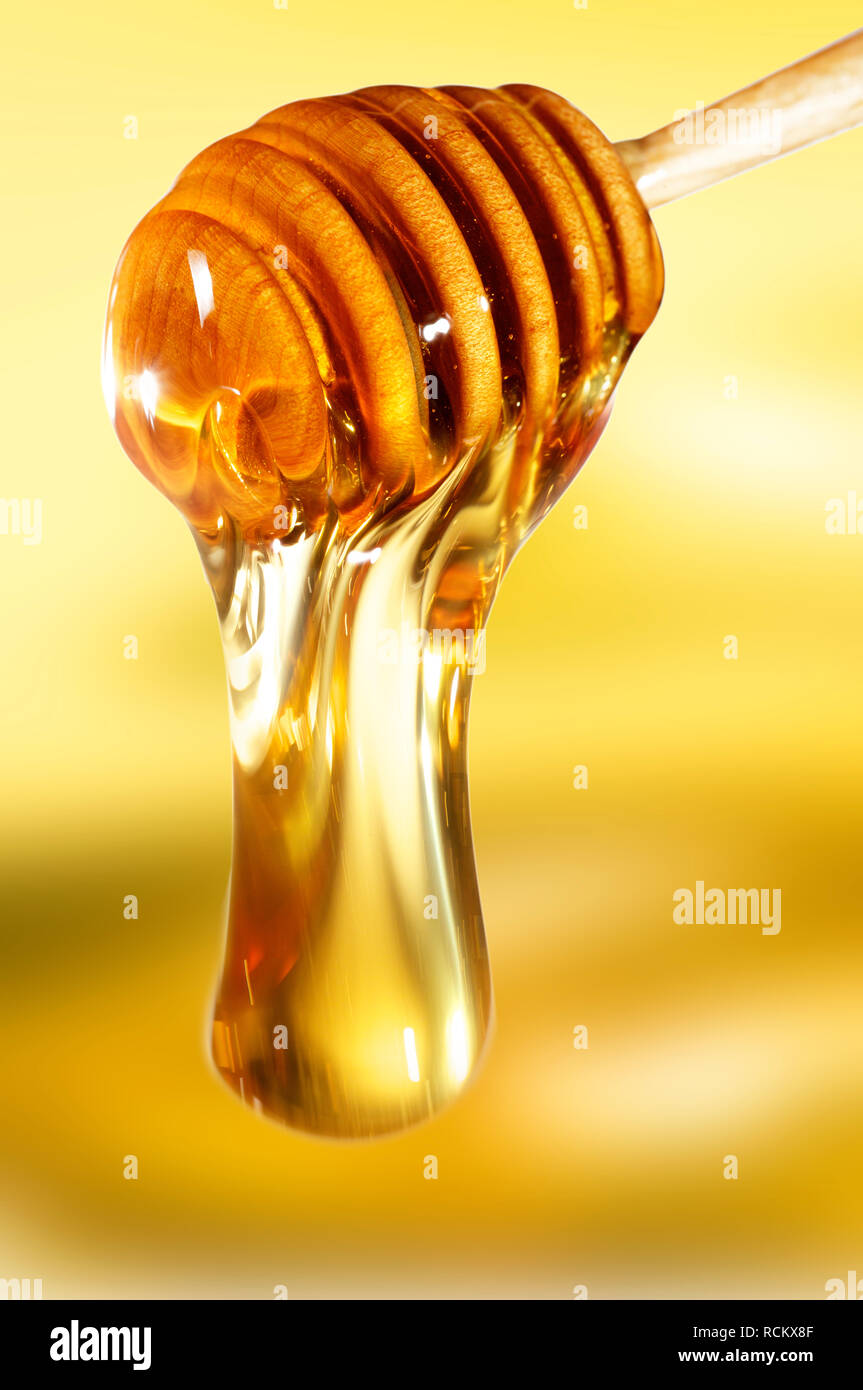 Il miele che gocciola dalla cucchiaia di legno, vicino, sfondo giallo Foto Stock