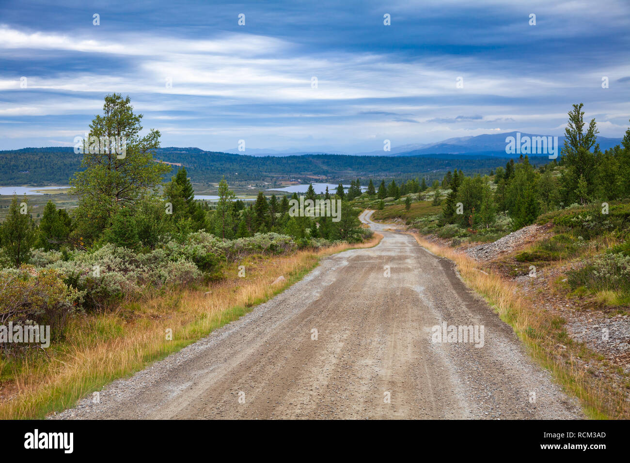 Peer Gynt Vegen scenic tourist mountain strada a pedaggio chiamato dopo il folk carattere Peer Gynt, contea di Oppland orientale della Norvegia e Scandinavia Foto Stock