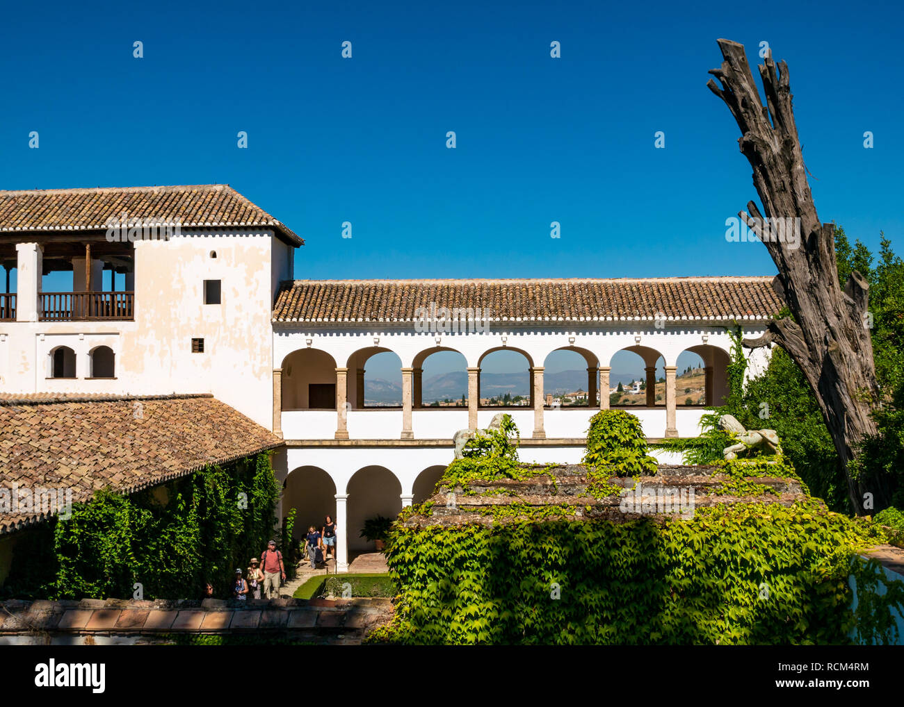 Corte del canale dell'acqua cortile, Generalife Palace, Alhambra Palace, Granada, Andalusia, Spagna Foto Stock