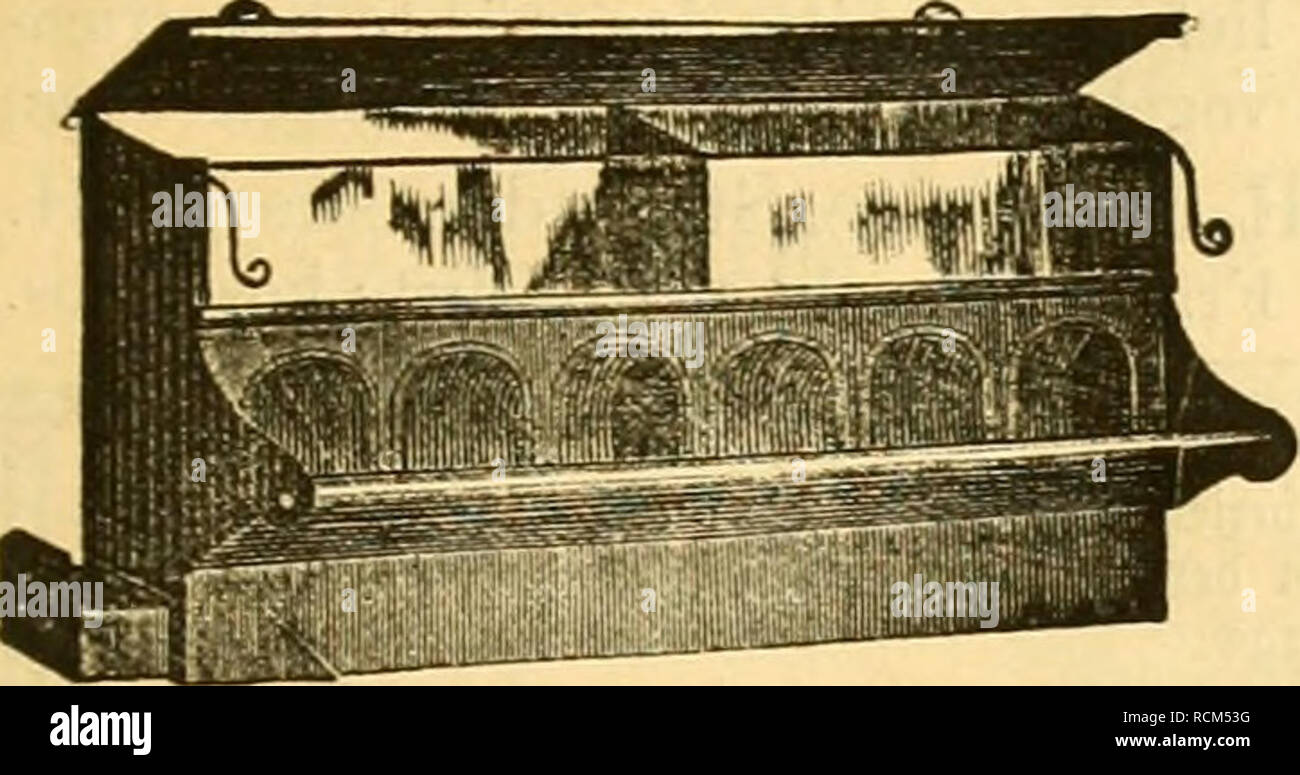 . Die Gefiederte Welt. Gli uccelli. "Pcifage ^ur â§cfie6erfen ^FEP". Â"r. 1. illaglicburg, ben 3. 3onnar 1889. XVIII. Solirgong. 3luf aOen grÃ¶Ãeren 2IuÂ§fietlungen prÃ¶mirt: Â"â 99 Iiii8ectiTei*auii^^ [IJ f f KniÃ¶jrfal-iFuttcr fÃ¼r 3nfehtcn frejfenÃ¶e SingoÃ¶gcl ^ (non namfiaften Ã¤lutoritÃ¤dieci roiebertiolt empfohlen), roie ade Ã¼brigen SBogeIfutter=3lrtifeI empfietilt bie (Samen^anbhmg oon Karl Capelle, ^annotfCt* Dhiftev unb 'JvreiSoerjcidfiniffe foftenloÃ¤. Â®cneral=5ltcÃcrIa0c meiner fÃ¶mmtUcftctt ?^utterartifcl Sei ^errn A. Rossow, ^-Berlino, TOanteuffetftraSe 9h-. 29. SWen SSogelfrcunb Foto Stock