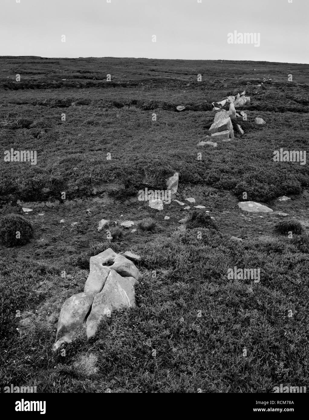 Consente di visualizzare se un confine preistorici o parete di campo ha rivelato negli anni ottanta dal taglio di torba sulla collina Noup presso l'estremità N di Eday, isole Orcadi Scozia, Regno Unito. Foto Stock