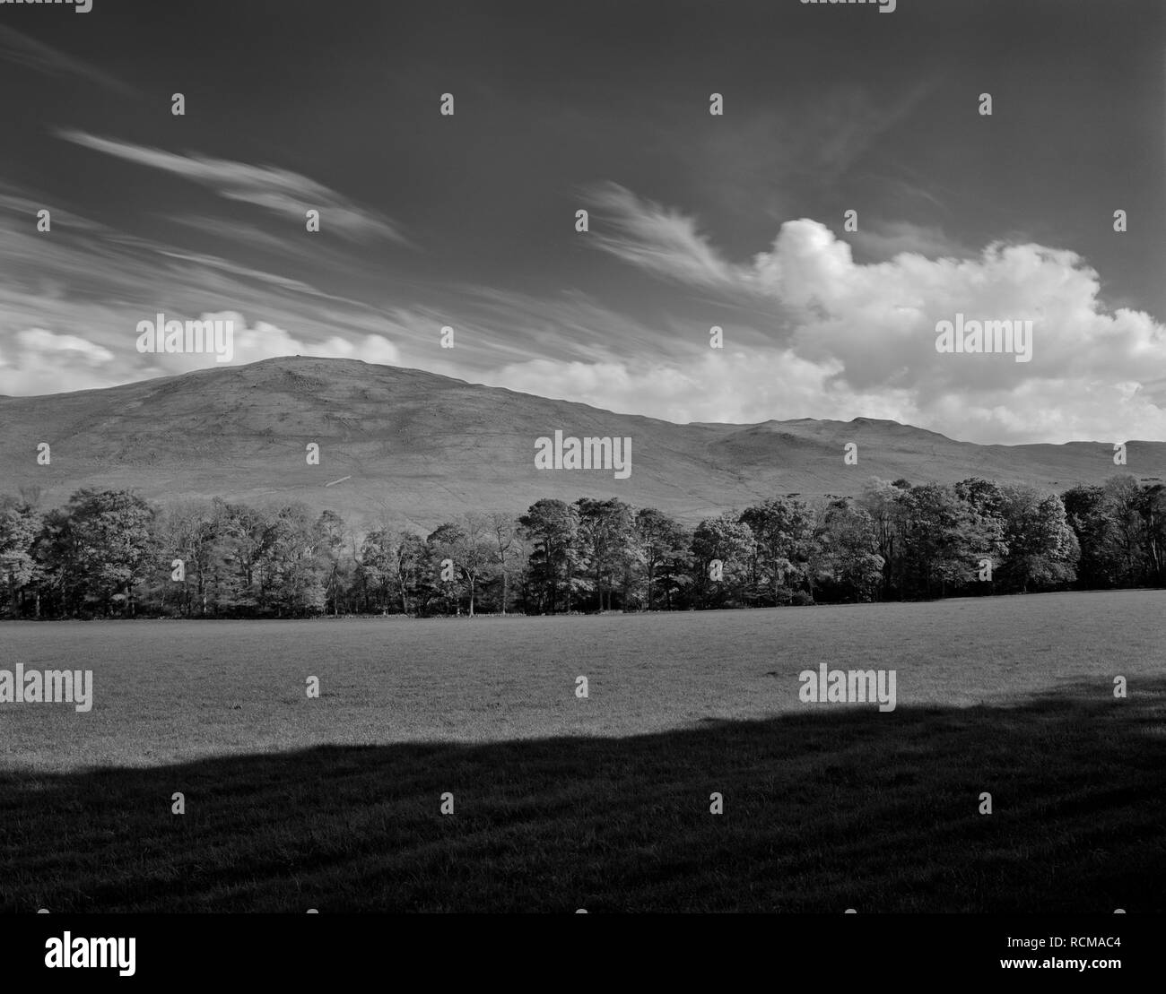 Visualizza S di Cademuir Hill, Scottish Borders, UK, mostrando un'età del ferro hillfort sulle due cime principali della cresta: Cademuir io sulla vetta (L), II su R. Foto Stock