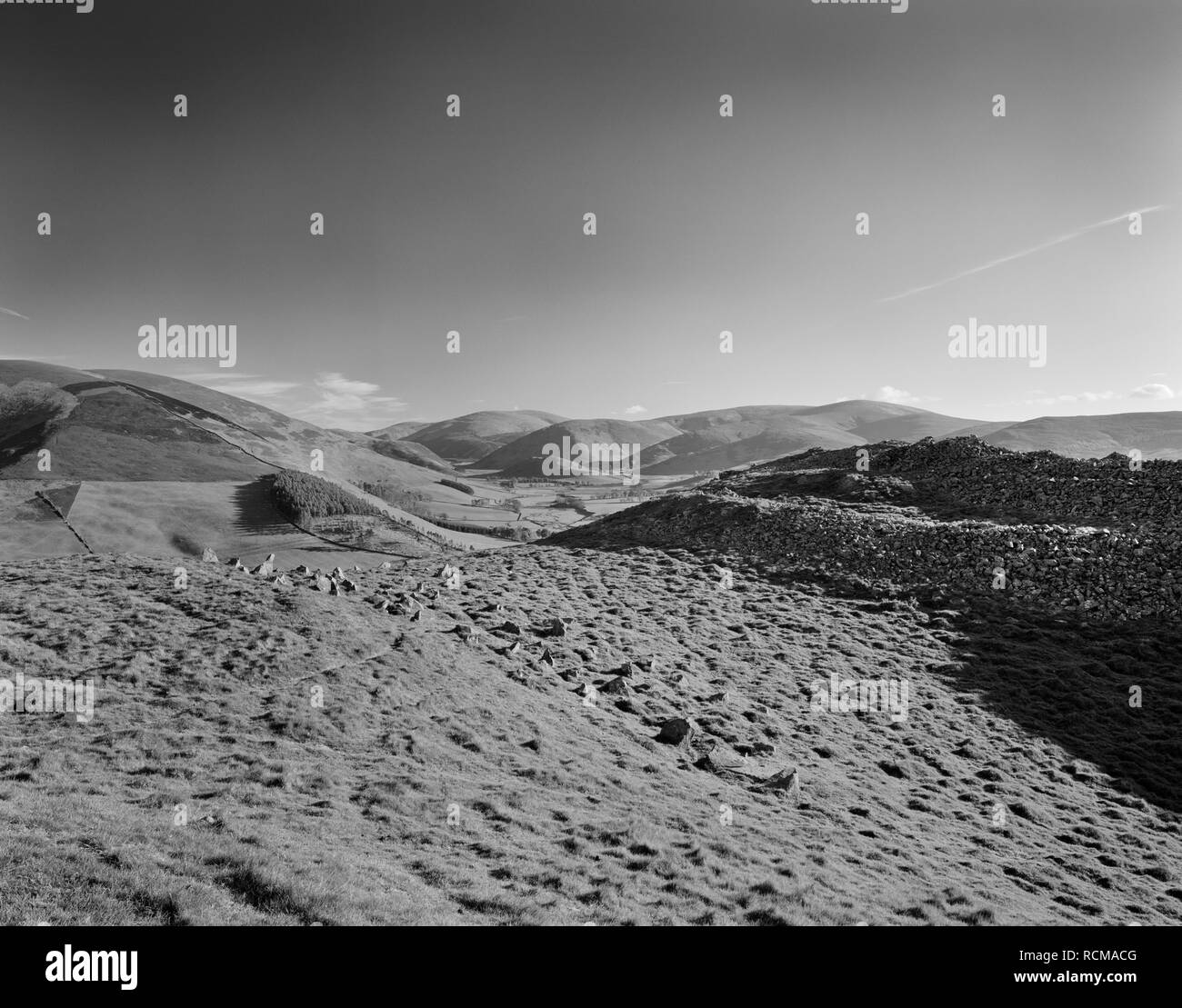 Visualizza SW di un chevaux-de-frise (impostazione difensiva del montante pietre) fuori Cademuir II Età del Ferro hillfort, sulla collina Cademuir, Scottish Borders, UK. Foto Stock