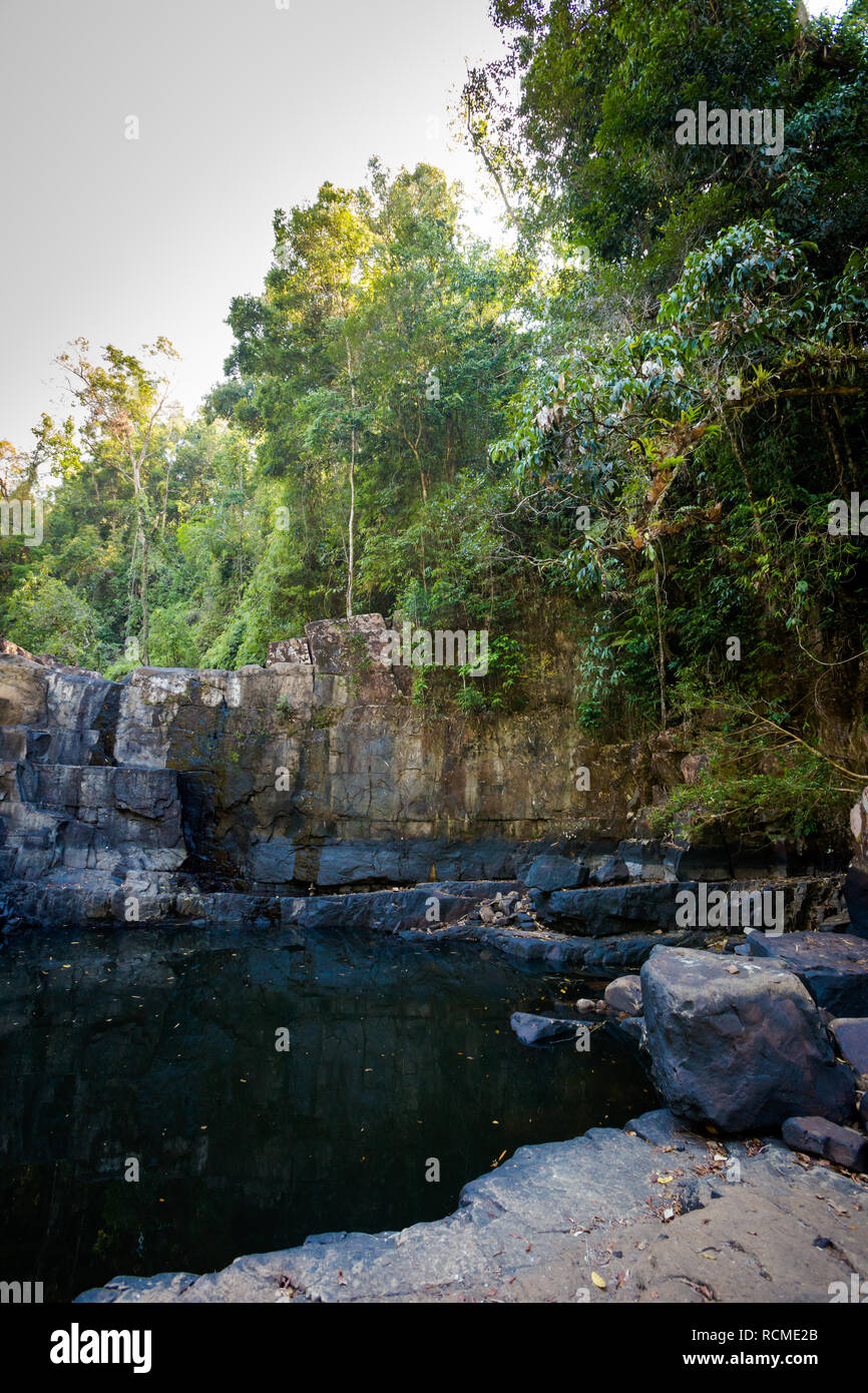 In estate il paesaggio nella giungla tropicale su Koh Kood island in Thailandia. Paesaggio pieno di verde bush in Klong Yai cascata area. Foto Stock
