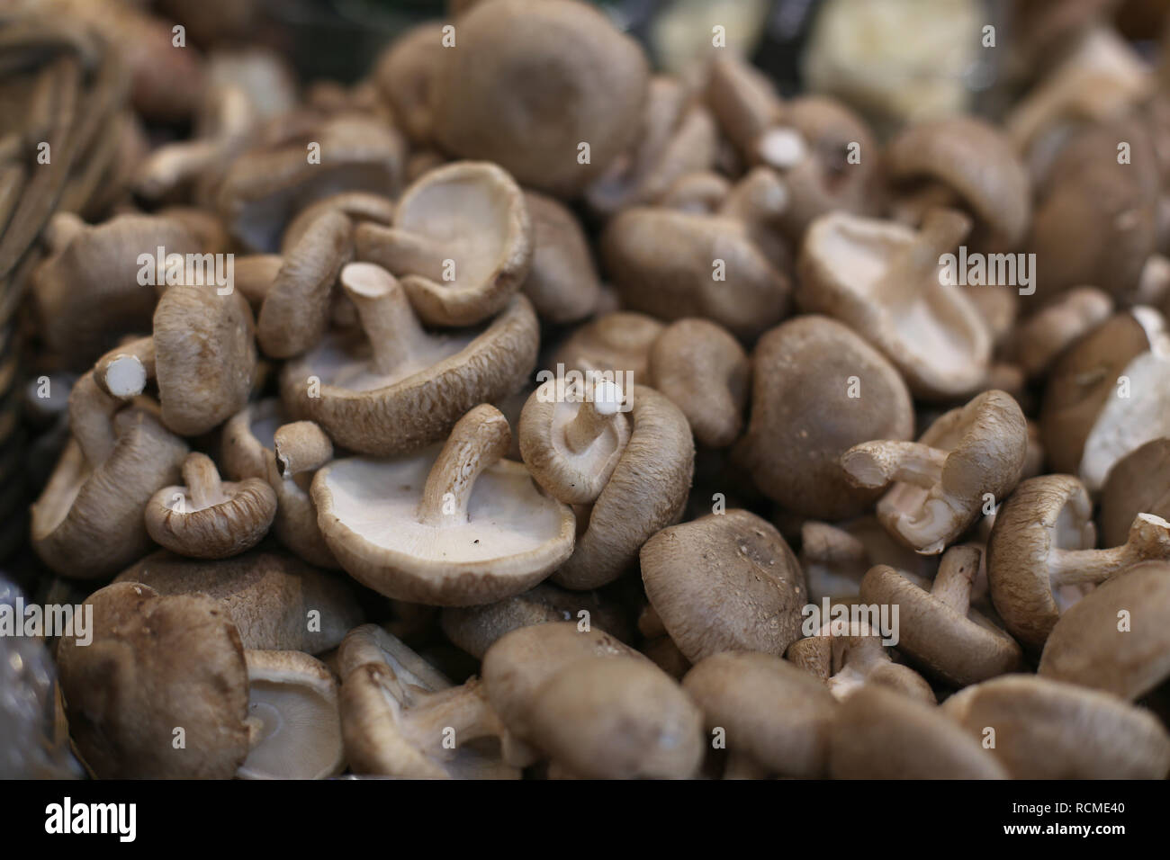 Funghi Shiitake sullo sfondo di verdure fresche. Giapponese cibo tradizionale e erbe aromatiche. Foto Stock