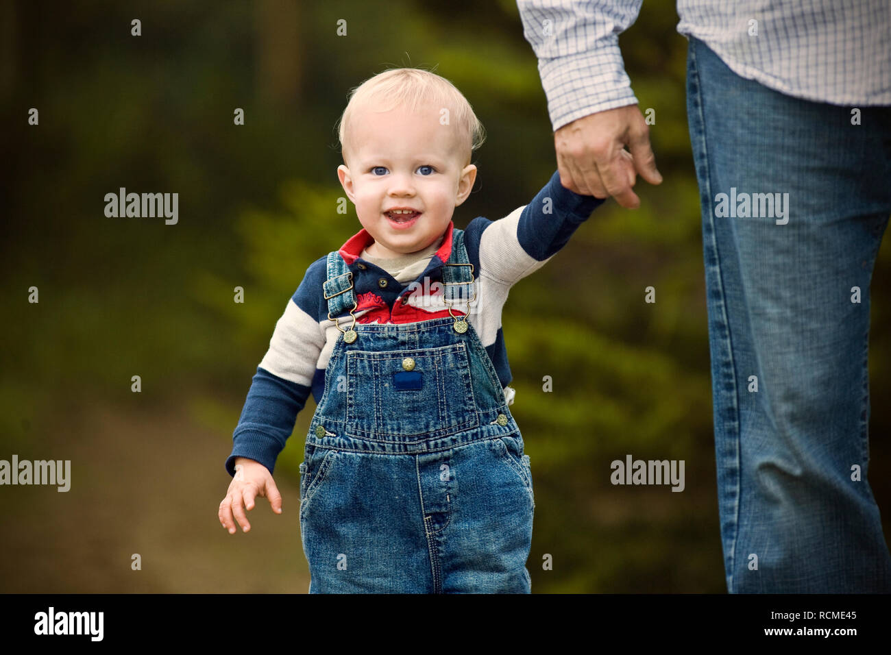 Felice toddler maschio tenendo la sua mano del padre Foto Stock