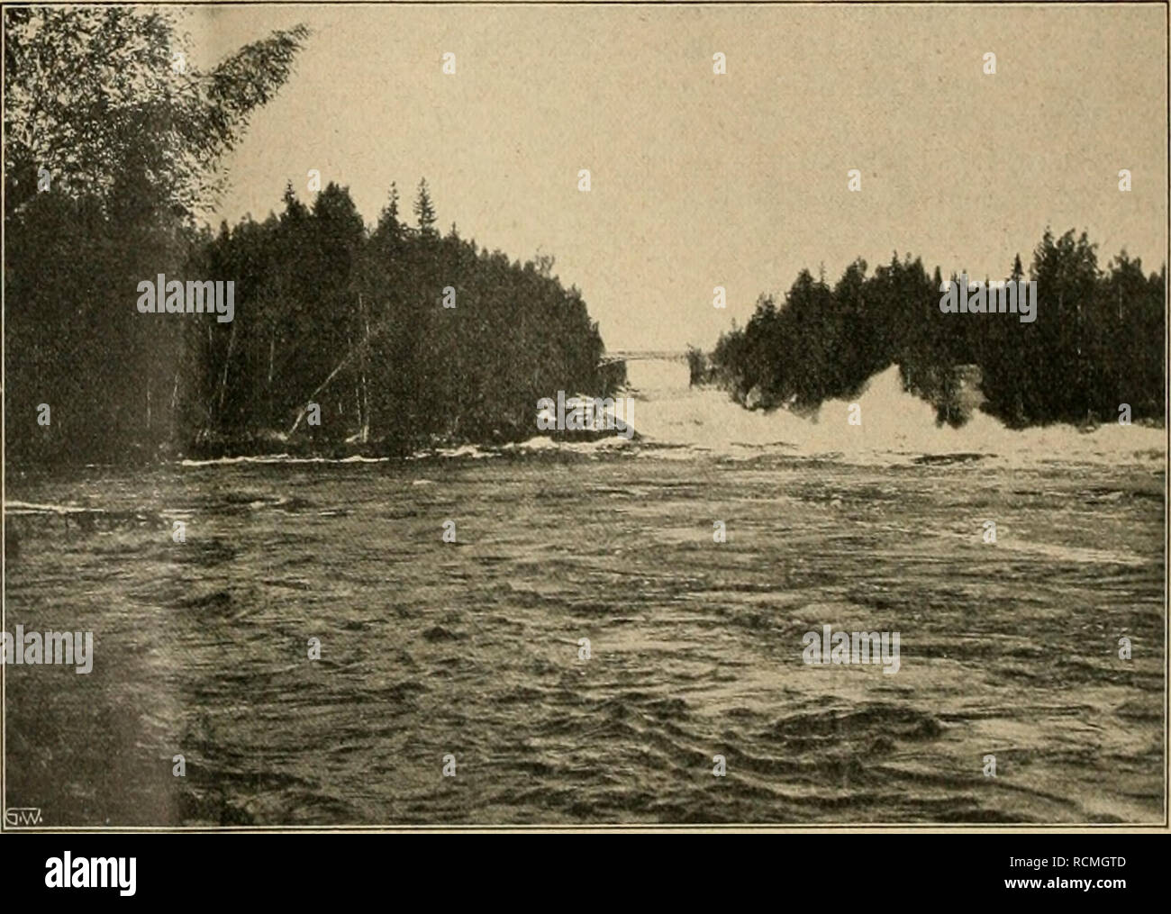 . Die Gartenwelt. Il giardinaggio. Blick auf die Umgebung von Wiborg. In der Nähe des Bahnhofes besuchte ich zunächst den nicht sehr großen quadrato (viereckiger Platz) mit Teppichbeeten, schönen Baum- und Strauchgruppen. Von Gehölzen waren angepflanzt: Aesculus Hippocastanum (5 m Höhe), Picea Engelmanniiglauca (7 m Höhe), Abies sibirica, Acer platanoides Schwedleri, Tilia euchlora rubra, Berberis vulgaris purpurea, rosa rubrifolia, Elaeagnus argentea, Cotoneaster vulgaris, Syringa Josikaea, Viburnum Opulus und Prunus cerasus. Trotz des hier herrschenden rauhen Klimas*) standen alle Gehölze in guter E Foto Stock