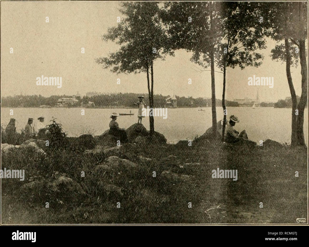 . Die Gartenwelt. Il giardinaggio. 170 Die (hartenweit. xvrii, ho;. Blick auf die Umgebung von Wiborg. In der Nähe des Bahnhofes besuchte ich zunächst den nicht sehr großen quadrato (viereckiger Platz) mit Teppichbeeten, schönen Baum- und Strauchgruppen. Von Gehölzen waren angepflanzt: Aesculus Hippocastanum (5 m Höhe), Picea Engelmanniiglauca (7 m Höhe), Abies sibirica, Acer platanoides Schwedleri, Tilia euchlora rubra, Berberis vulgaris purpurea, rosa rubrifolia, Elaeagnus argentea, Cotoneaster vulgaris, Syringa Josikaea, Viburnum Opulus und Prunus cerasus. Trotz des hier herrschenden rauhen Klimas*) Foto Stock