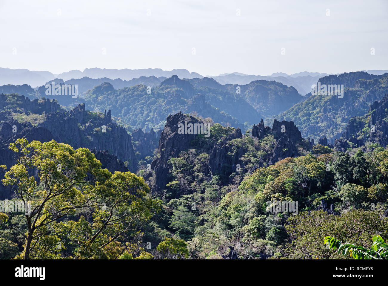 Pietra calcarea foresta terreno carsico in Laos da un punto di vista sul percorso 8 Foto Stock