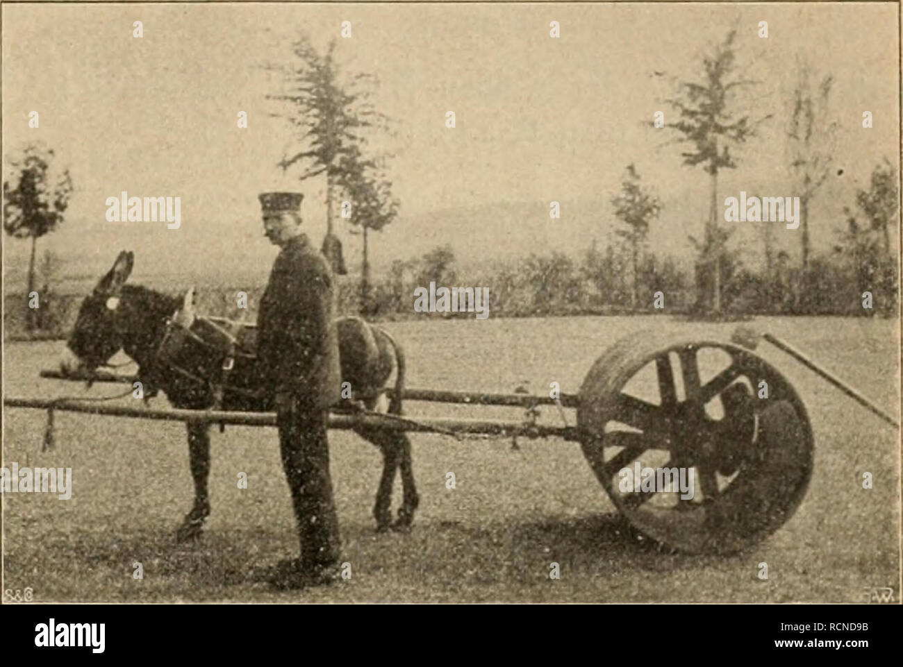 . Die Gartenwelt. Il giardinaggio. VIII, 51 Die Gartenwelt. 607 3. Befahren der Parkwege mit kleinen Sprengwagen. 4. Walzen von Rasen- und Kiesplätzen. 5. Anfuhr von Dünger, Laub, Heu, Kohlen. (Leistiuig 20-30 Zentner für den Zweispänner, je nach den Steigungsverhältnissen der Wege.) Pflanzentransport auf Federwagen zur Beetbepflanzung. 6. Reinigen der Wege von Schnee mit dem Schnee- pflug. Als unrentabele Arbeit bleibt eigentlich Nur der trans- porta schwerer Erdarten bei schlechten Wegen übrig. Hier ist das Pferd besser am Platze. Nun wird der Leser, welcher der Sache vielleicht einiges Intèresse un Foto Stock