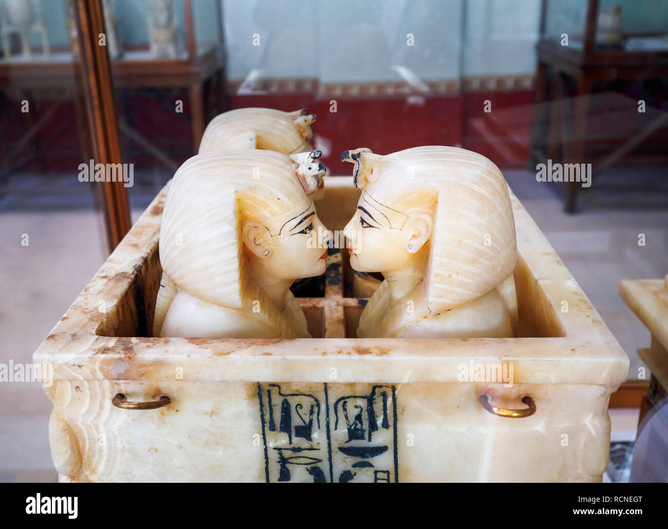 Alabastro vasi canopi presenta, i tesori della tomba di Tutankhamon esposti nel Museo delle Antichità egiziano (Museo del Cairo), il Cairo, Egitto Foto Stock