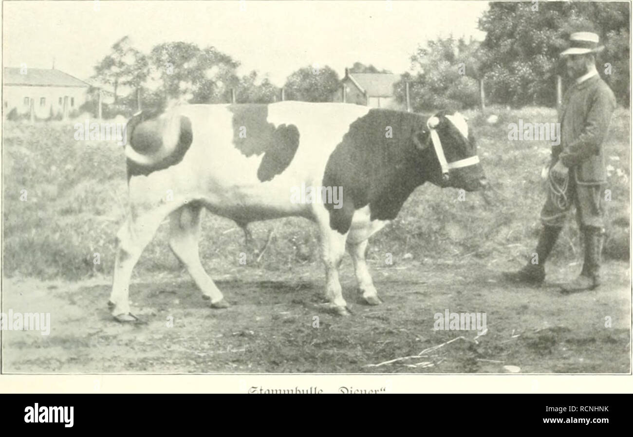 . Die deutsche Landwirtschaft unter Kaiser Wilhelm II; Mutterland und Kolonien. Caldaia a recupero. von prof. Il dott. Dade. Agricoltura; agricoltura; l'agricoltura. ©ubenborf. 291. ?Cv Puiuj ^lnll•^o ^cn licl-oi mit 25 X''i- Pi'^" /Tciitiici- iuiticlnKlit. -^cv ^chiijiihiiyc sj"uutidmitt 1S92,95-1901 02 ciiab oiiicii r^ofhiit vvn 2'45 ?}i. pio rsa[)v. ls"02 03-1911 12: i4öiVnipt. •?Cc ?uiui unlr^c au* hici ^cn liorcii mit 25 -Pf. pro oontncf iTutiTcbrodit s^ov ^ohiijähiiiio 5&GT;ucd&GT;|d&GT;iiitt 1902 05-1911/12 cxcsab einen (Scipinn wn 3("0 ?Ji. pro 7)abv. 33ci bor sSdmfbaltuiu^ criiab fid'" ein iülnlid Foto Stock